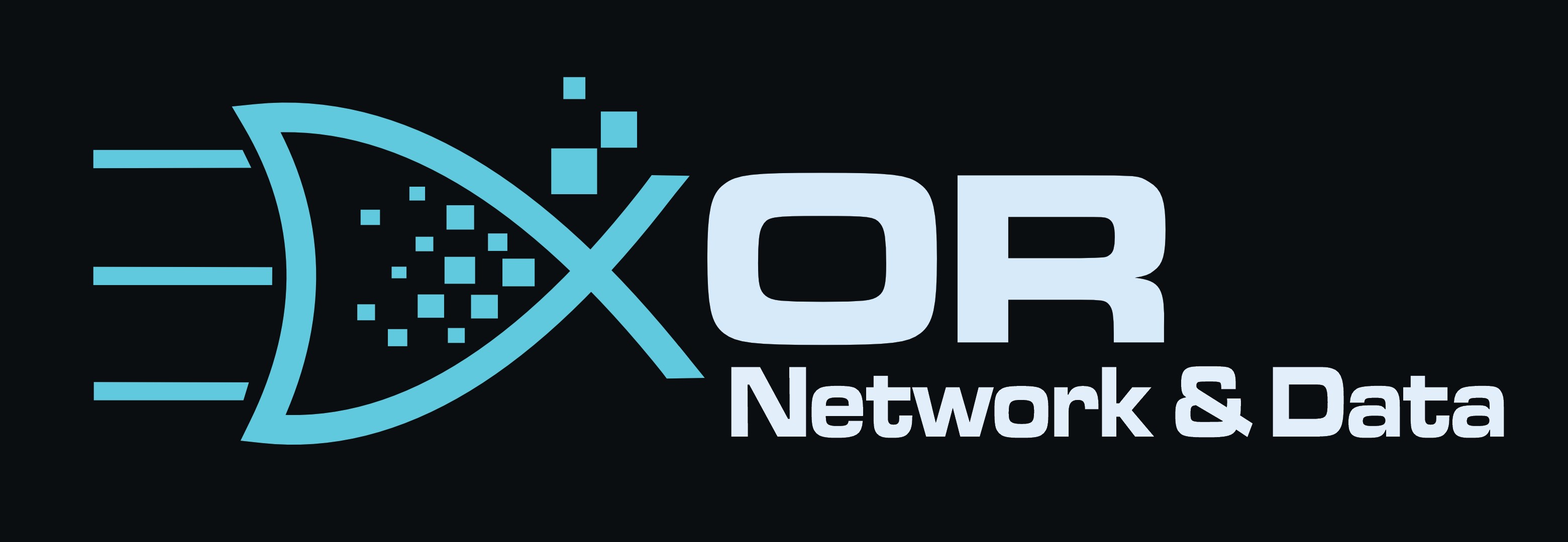 XOR Network & Data